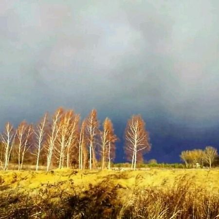 Gospodarstwo Zaborski Sad Dış mekan fotoğraf