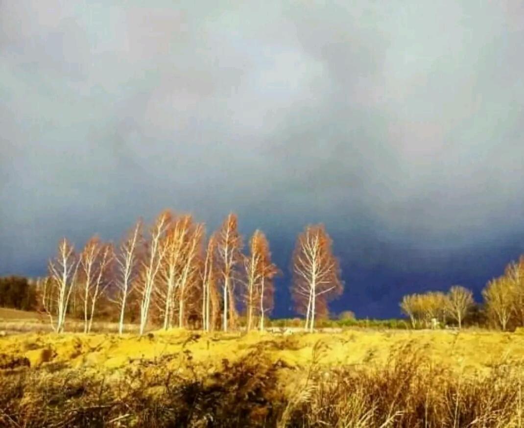 Gospodarstwo Zaborski Sad Dış mekan fotoğraf