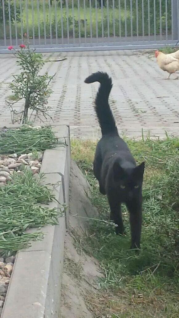 Gospodarstwo Zaborski Sad Dış mekan fotoğraf